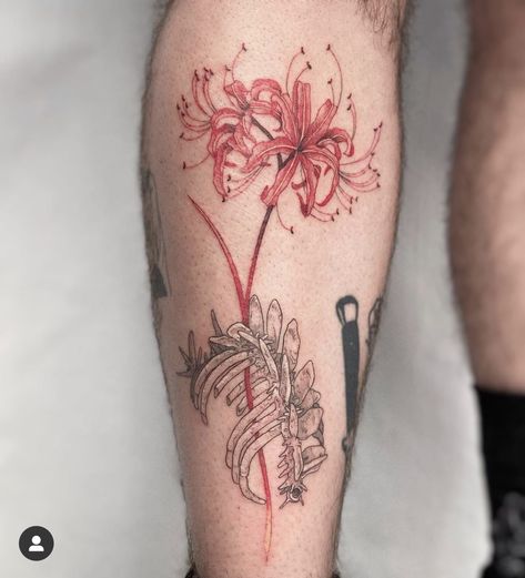 Japanese Spider Lily Tattoo, Japanese Spider Lily, Lily Tattoo Meaning, Spider Lily Tattoo, Lily Tattoo Design, Abstract Tattoo Designs, Army Tattoos, Red Spider Lily, Spider Lily