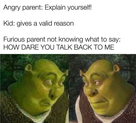 Not Saying Anything Is Sometimes Worse Though Annoying Parents, Crush Quotes Funny, Bad Parenting Quotes, Parents Quotes Funny, Bad Parents, Funny School Jokes, Funny Meems, Parenting Memes, Parenting Humor