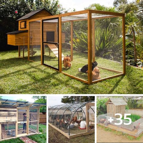 35 Chicken Coop Ideas With "Wood and... - Interesting Home Coop And Run, Walk In Chicken Coop, Coop Run, Chicken Coop Garden, Chicken Coop Run, Backyard Chicken Farming, Chicken Coop Designs, Chicken Garden, Coop Ideas