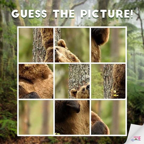 Guess The Picture Game, Emoji Guessing Game, Increase Brain Power, Detective Riddles, Easy Riddles, Emoji Puzzle, Spot The Difference Games, Rebus Puzzles, Hard Riddles