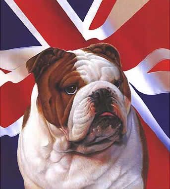 Hanamaru - MAGA on Estilo Cholo, Bulldog Art, British Bulldog, British Flag, Leeds United, Messenger Bag Men, Union Jack, English Bulldog, Great Britain