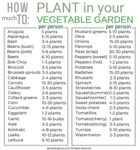 Iron Foods, When To Plant Vegetables, Vegetable Garden Planning, Vegetable Garden For Beginners, Homestead Gardens, Vegetable Garden Diy, Garden Planner, Garden Veggies, Garden Aesthetic