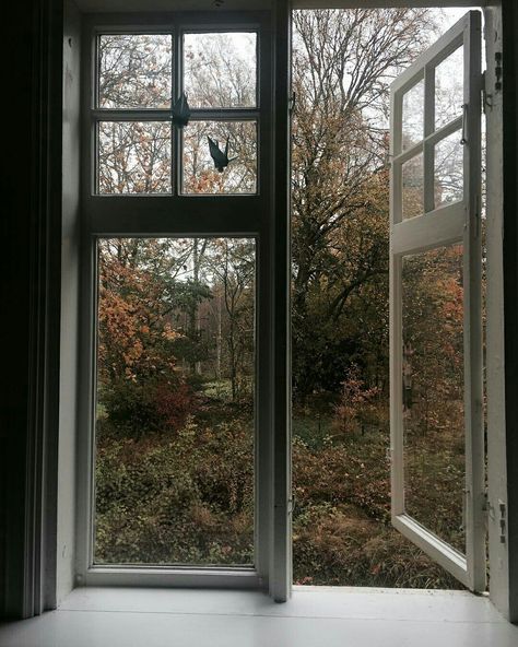 Autumn Window, Fall Mood Board, Season Of The Witch, Fall Feels, Foto Art, Window View, Best Seasons, Through The Window, Open Window