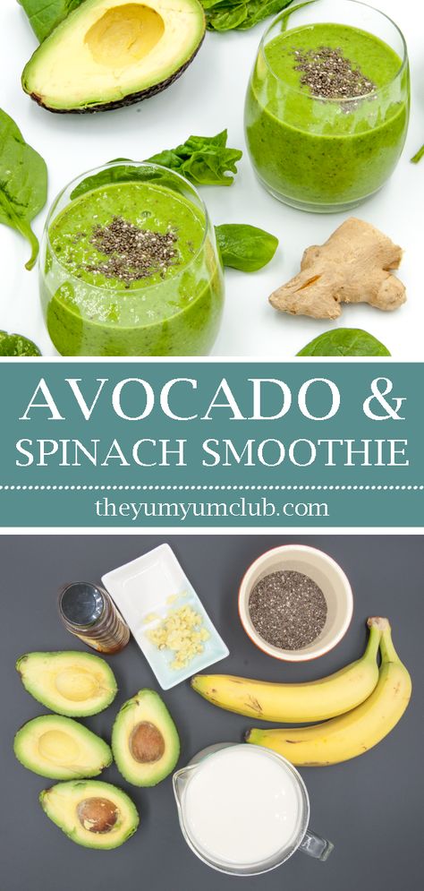 Avocado and spinach detox smoothie. But why detox? Because of the superfoods of ginger and chia seeds! All washed down with almond milk and honey. Yum! | theyumyumclub.com  #food #recipes #recipe #cooking #eating #goodfood #cook #finedining #foodporn #foodie #nonnom #wfmdish #foodphotography #snack #yum #dinner #healthyfood #foodpics #food #yummy #delicious #homemade #foodgawker #buzzfeast #hungry #homecooking #foodyum Spinach Avocado Smoothie, Avocado And Spinach, Smoothie Avocado, Cucumber Smoothie, Green Foods, Dairy Free Smoothies, Spinach Smoothie, Smoothie Ingredients, Green Goddess