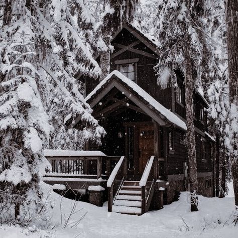 Snowy House Aesthetic, Winter Forest House, Snowy Cottage Aesthetic, Snow House Aesthetic, Cottage House In The Woods, Snowy Cabin Aesthetic, Christmas Cabin Aesthetic, Cabin In The Woods Winter, Cabin In The Woods Aesthetic