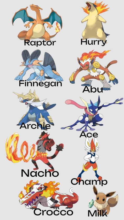 all the names i've had for my starters in every main series #pokemon #pokemonshuffle #pokemonscarlet #pokemonaesthetic #eeveelution #charizard Create Collage, Creative Play, Pokemon, Collage, Pokémon