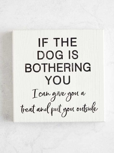 Dog Bothering You Block Sign | Altar'd State Funny Dog Signs, Dog Lover Quotes, Shed Signs, Stencils For Wood Signs, Dog Business, Wedding Branding, Cute Accessories, Pet Signs, Silly Dogs