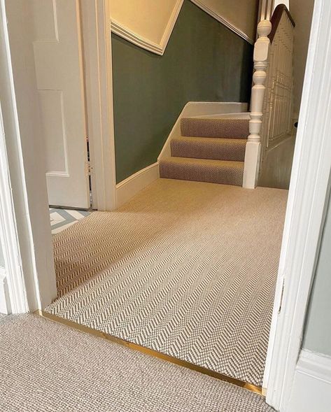 CAT Feline 2 Solid Brass Twin Top Brass Transition Strip, Carpet Threshold Ideas, Carpet Wood Floor Transition, Carpet To Carpet Transition, Second Floor Carpet, Hallway To Bedroom Flooring Transition, Carpet To Carpet Transition Ideas, Carpet Transition Strip, Wood To Carpet Transition