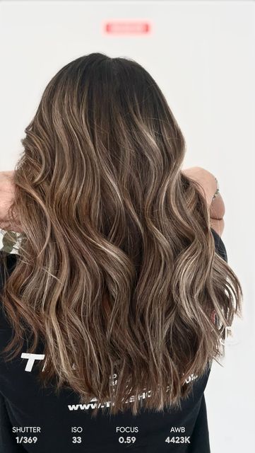 Lowlights Highlights, Curly Hair Specialist, Dimensional Brunette, Partial Highlights, Warm Brunette, Dimensional Blonde, Brown Hair Looks, Hair Specialist, Warm Blonde