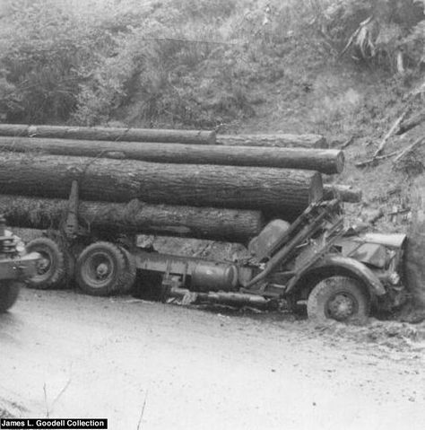 old logging machinery Log Truck, Logging Trucks, Logging Industry, Logging Equipment, Big Trees, Stuck In The Mud, Forestry Equipment, Antique Trucks, Big Rig Trucks