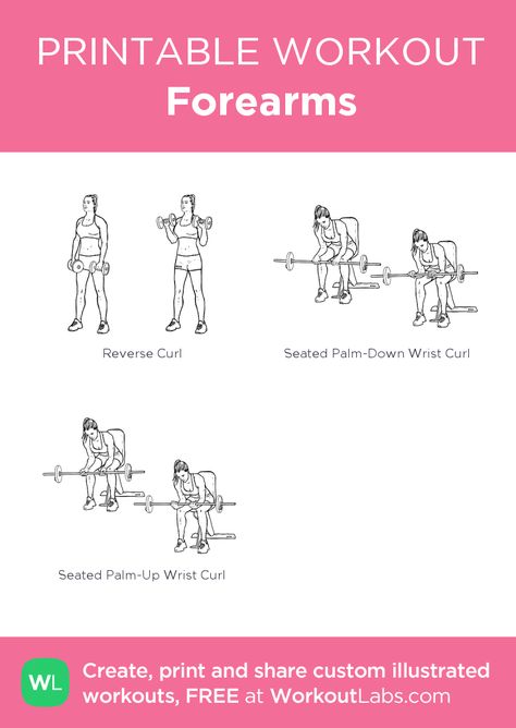 Forearms: my visual workout created at WorkoutLabs.com • Click through to customize and download as a FREE PDF! #customworkout Forearm Workout Women, Forearm Workouts, Forearm Workout At Home, Gym Plans, Full Body Weight Workout, Workout Labs, Printable Workout, Forearm Workout, Wrist Exercises