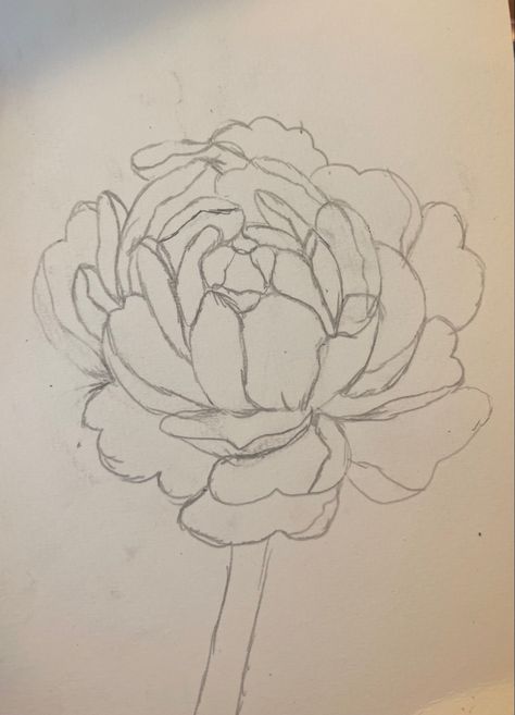 #drawing #flower #peony Peony Flower Sketch, Peonies Flower Drawing, Flower Drawing Peony, Peony Drawing Tutorial, Ocean Sketchbook, Peonies Sketch, Drawing Peonies, Peony Flower Drawing, Peonies Drawing