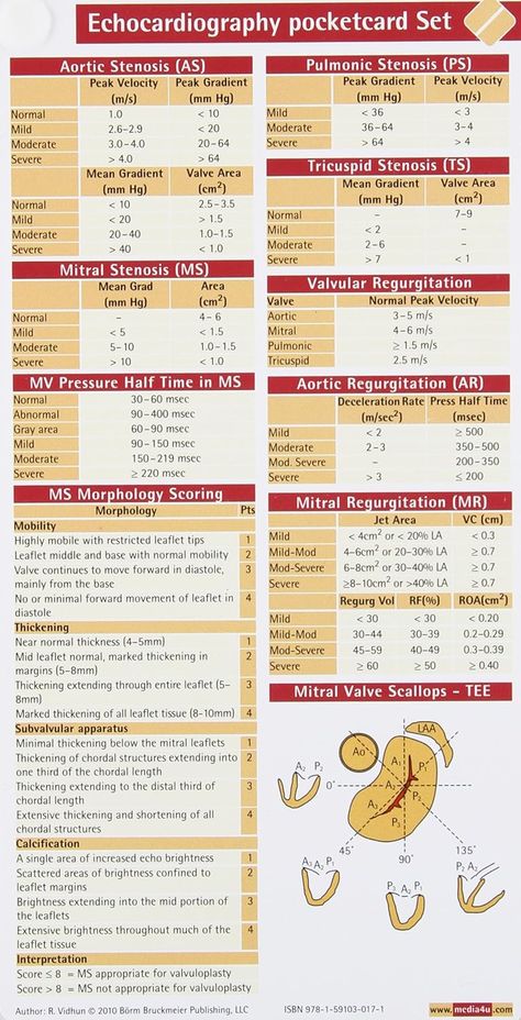 Cardiovascular Nursing, Cardiac Sonography, Cardiology Nursing, Sonography Student, Nursing School Prerequisites, Nursing Programs, Health Talk, Pocket Card, Nursing Notes