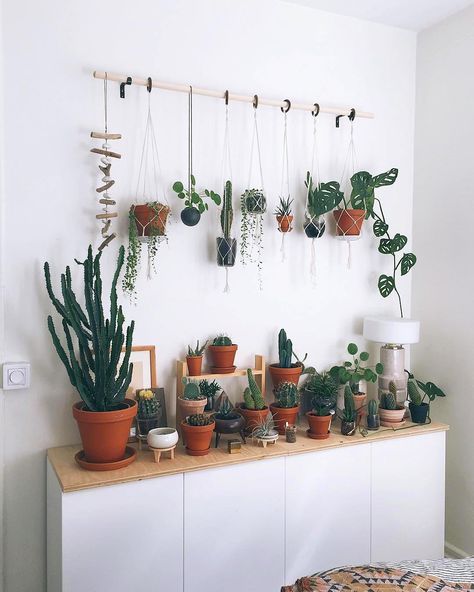 Bath Plants, Small Bedroom Wardrobe, Kaktus Dan Sukulen, Planters Ideas, Room Plants, Wooden Floating Shelves, Deco Nature, Bath Room, Decor Minimalist