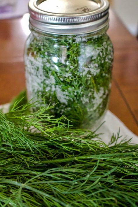 Herbs Preserving, Preserve Herbs, Preserve Fresh Herbs, Herb Spiral, Sausage Making, Watermelon Drink, Preserving Herbs, Canning Vegetables, Canning Food