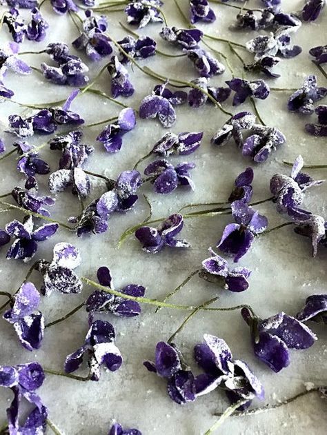 Candied Violets Edible Flowers, Candied Herbs, Candied Violets, Herbal Candy, Store Bought Icing, Eating Flowers, Flowers Recipes, Violet Cakes, Edible Flowers Recipes