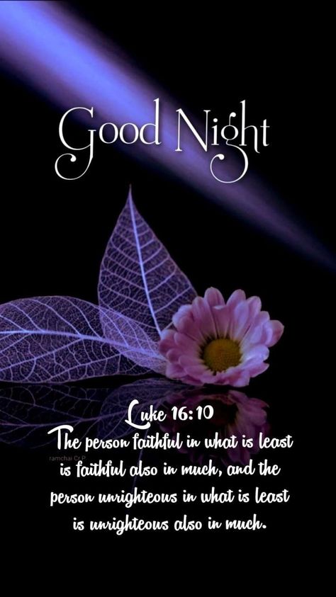 Goodnight Verses, Goodnight Blessings Faith, Good Night Bible Verse, Goodnight Blessings, Good Night Friends Images, Goodnight Sleep, Good Night Prayer Quotes, Scripture Images, Night Love Quotes