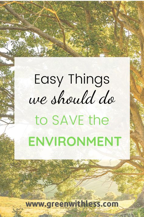 How to be eco friendly with 10 super easy ways to help the environment. Interested in sustainability and zero waste ? Sustainable living tips and ideas to go green. #sustainability #gogreen #zerowaste #environment #ecofriendly Ways To Save The Earth, Ways To Help The Environment, Environment Tips, Be More Sustainable, Environmentally Friendly Living, Toxic Cleaning Products, Save The Environment, Eco Life, Sustainable Community