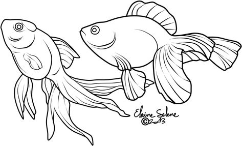 Fish Outline Tattoo, Koi Black And White, Black And White Koi Fish Drawing, Goldfish White Background, Betta Fish Coloring Page, Fish Clipart Black And White, Fish Outline, Outline Tattoo, Small Fish