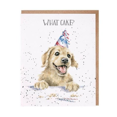 Featuring "what Cake" this card is perfect for any occasion. The image is printed on high quality, sustainably sourced textured board and is left blank inside for your own message. Supplied with a recycled kraft envelope and measures 15cm x 15cm. Dog Birthday Card, Wrendale Designs, Dog Greeting Cards, Greeting Card Envelope, Cake Card, Nursery Accessories, Space Party, Dog Cards, Labrador Puppy