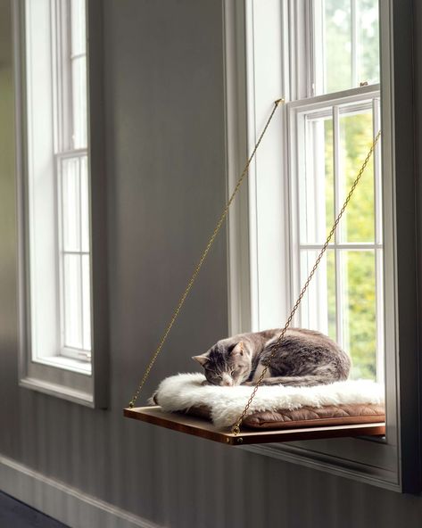 window ledge cat bed Diy Jouet Pour Chat, Katt Diy, Cat Window Bed, Cat Playhouse, Katt Grejer, Chat Diy, Kat Diy, Cat Window Perch, Window Perch