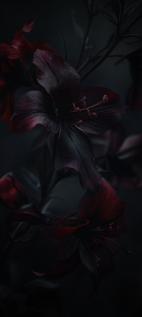 Cute Emo Backgrounds, Black And Dark Red Wallpaper, Black Red Wallpaper Iphone, Black And Red Aesthetic Wallpaper Iphone, Dark Red Wallpaper Iphone Aesthetic, Minimal Dark Wallpaper, Dark Glamour Aesthetic, Chic Wallpaper Iphone, Dark Autumn Aesthetic Wallpaper