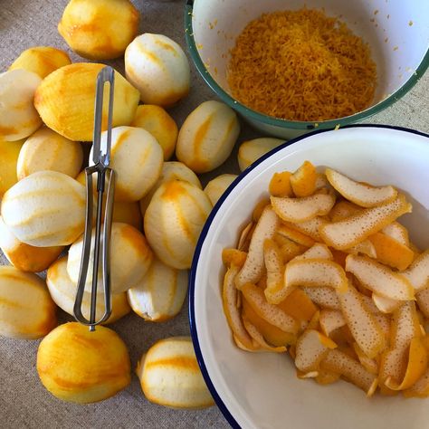 What To Do With Lemons, Cordial Recipe, Yoghurt Cake, Lemon Drizzle Cake, Flavored Salts, Backyard Farm, Jam Pot, Lemon Drink, Preserved Lemons