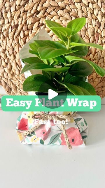 The Shortcut Girl • Tips & Tricks for Home + General Life on Instagram: "Wrapping a plant is arguably, unnecessary. 
But this looks really cute and that is definitely IS. 

#wrappingideas #giftplants #hostessgift #giftwrappinghacks #giftwrappingideas #giftwrapped #wrappingpaper #wrappingpaperhacks #hostgift #plantgifts #housewarminggift #giftwrapping #presentwrapping" Gift Wrapping Inspiration, Host Gifts, Present Wrapping, Easy Plants, Girl Tips, Plant Gifts, Hostess Gifts, Wrapping Paper, House Warming Gifts