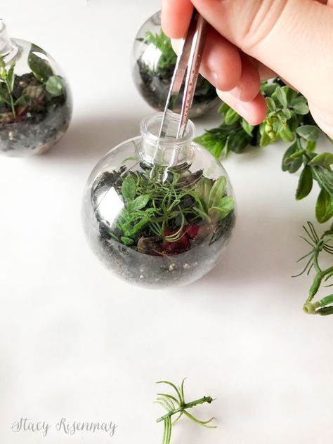 How to make terrarium ornaments! #terrarium #ornaments #diy #diyornament #handmade #handmadeornament #ornament #terrariums #fauxplants #christmasornament Diy Christmas Terrarium, Terrarium Ornaments Christmas, Glass Jar Terrarium Diy, Diy Glass Ornament Ideas, Clear Ornaments Ideas, Upcycled Ornaments, Terrarium Ornaments, Air Plant Ornament, Fairy Trees