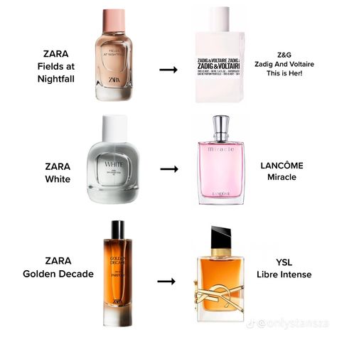 Zara Perfume Duplicates, Miracle Perfume, Zara Perfume, Body Shop Body Butter, Perfume Hacks, Ysl Perfume, Armani Perfume, Perfume Display, Antique Perfume Bottle