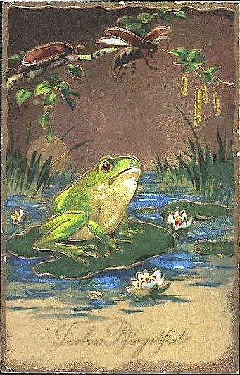 Amphibians Activities, Frosch Illustration, Frog Illustration, Frog Pictures, Frog Drawing, Young Animal, Funny Frogs, Frog Art, Christmas Crackers