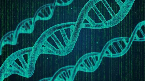 Genetic Algorithm (GA) Introduction with Example Code | Towards AI Genetic Algorithm, Theory Of Evolution, Natural Selection, Genetic, Data Science, Python, Diving, Career, Science