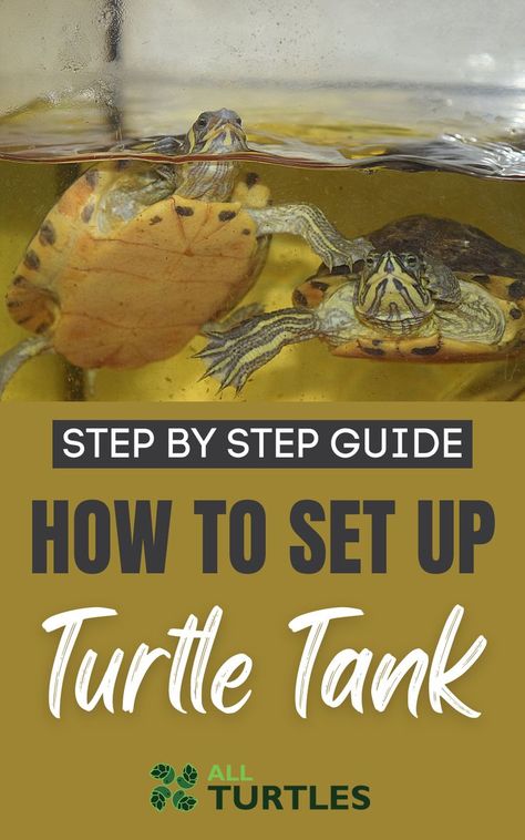 Turtle Setup, Aquatic Turtle Habitat, Pet Turtle Care, Aquatic Turtle Tank, Turtle Tank Setup, River Turtle, Red Eared Slider Turtle, Turtle Facts, Turtle Aquarium