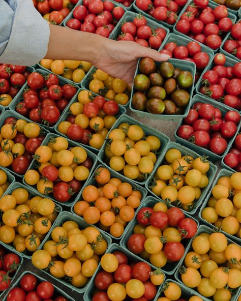 A Saturday morning farmers market is one of my favorite things about summer ✨☀️ @greencitymarket Talent: @onemanagementchicago @girlblonded @lizcole8 Styling: @mel.romanski #chicagolifestylephotographer #femininelifestyle #farmersmarket #lifestylephotographer #femalephotographer California Farmers Market, Farmers Market Photography, Farmers Market Photoshoot, Farmers Market Aesthetic, Photography Marketing, Female Photographers, Nov 2, Saturday Morning, My Favorite Things