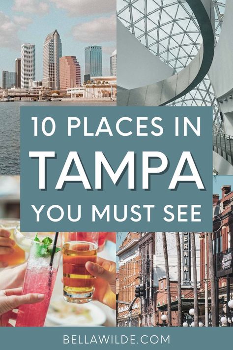 Planning the perfect trip to Tampa? Read this post for all the best things to do in Tampa, Florida! — florida travel guides | florida adventures | tampa florida things to do in | things to do near tampa florida | tampa florida beaches | hidden gems in florida | tampa florida restaurants | florida travel tips | florida travel destinations | florida vacation | florida places to visit | florida bucket list | south florida | weekend in tampa florida | tampa florida day trips | florida travel tips Florida Day Trips, Tampa Beaches, Florida Bucket List, Ybor City Tampa, Things To Do In Tampa, Madeira Beach Florida, Tampa Riverwalk, Florida Travel Destinations, Delray Beach Florida