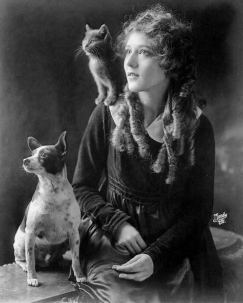 Vintage Foto's, Istoria Artei, Creepy Photos, Mary Pickford, Vintage Witch, Silent Movie, Cat People, Cat Person, Vintage Dog