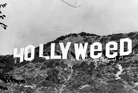 Turning the Hollywood Sign into "Hollyweed" in 1983.  (Photographer: Mike Sergieff/ LAPL 00105387) Bizarre Los Angeles Fact Of The Day, Hollywood Sign, Hooray For Hollywood, Promised Land, The Crazy, Do You Really, The History, You Really, Did You Know