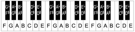 61 Key Keyboard Notes, Keyboard Notes, 61 Key Keyboard, Keyboard Lessons, Yamaha Keyboard, Keyboard Layout, Best Piano, Reading Notes, Piano Cover