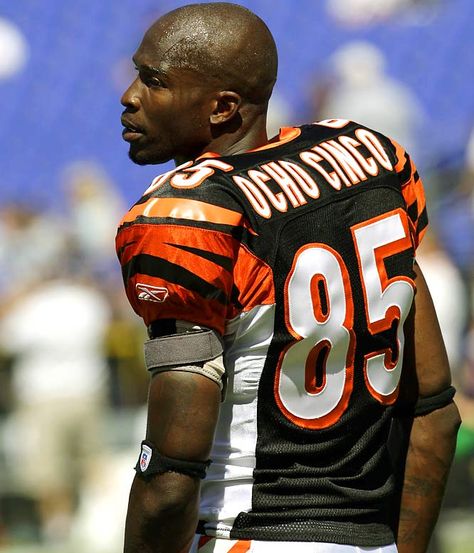 Chad Ocho Cinco Chad Ochocinco, Sports Figures, Not Love, Memphis Grizzlies, Wide Receiver, Nfl Players, Cincinnati Bengals, Sports Illustrated, Cincinnati Reds