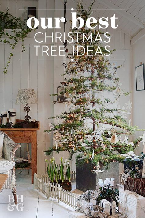 Decorated Sparce Christmas Tree, Sparse Tree Decorating Ideas, Sparse Tree Decorating, Sparse Christmas Tree Decorating Ideas, Alpine Christmas Tree Decorating Ideas, Cypress Christmas Tree Decorated, Alpine Tree Decorating Ideas, Decorating Sparse Christmas Tree, Sparse Christmas Tree Decorated