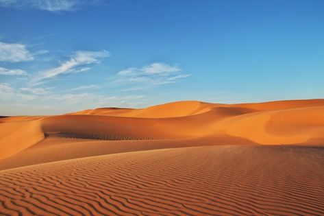 Photo dunes in the sahara desert in the ... | Premium Photo #Freepik #photo #sahara #sand-dunes #desert #dune Sudan Flag, Backgrounds Gacha, Background Tree, Desert Hills, Desert Background, Thumbnail Background, Abandoned City, Tree Heart, Fantasy World Map