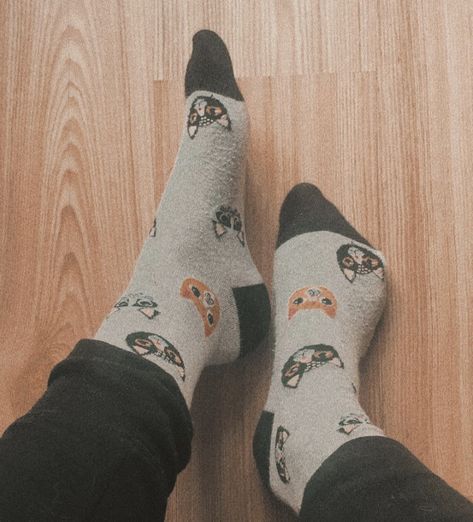 Funny Socks Aesthetic, Aesthetic Socks, Socks Aesthetic, Funky Socks, Romanticizing Life, Cat Socks, Sock Animals, Aesthetic Boy