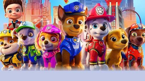 Paw Patrol Cartoon, Sonic Videos, Boys Bedroom Makeover, Paw Patrol Characters, Batman Party, Paw Patrol Cake, Kids Tumbler, Kung Fu Panda, More And More