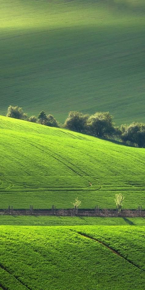 Green Aesthetic Background Landscape, Green Nature Aesthetic Wallpaper, Landscape Green Aesthetic, Green Wallpaper Scenery, Green Nature Aesthetic, Green Scenery Wallpaper Nature, Cool Pictures For Wallpaper, Green Pictures, Scenery Background