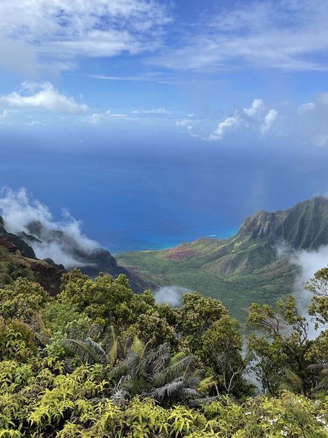 View from the Kalalau Lookout in Kauai, Hawaii Kalalau Lookout, Creative Landscape, National Photography, Kauai Hawaii, Earth Lover, Life Pictures, How To Become Rich, Day And Time, Natural Life