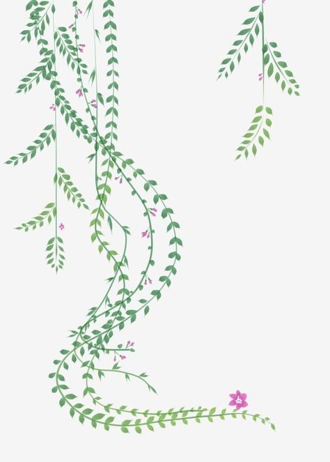 Anime Vines Plant, Vine Drawing Simple Border, Creepers Plants Drawing, Vines Plants Drawing, Flower Vine Drawing, Growth Illustration, Image Flower, Creepers Plants, Vine Drawing