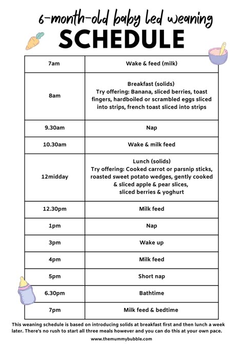 Baby Lead Weaning 4 Month, Baby Led Weaning Schedule, Baby Solid Food Schedule, Weaning Schedule, 6 Month Baby Pictures, Baby Eating Schedule, 7 Month Old Baby Food, Uppfostra Barn, Baby Food Schedule