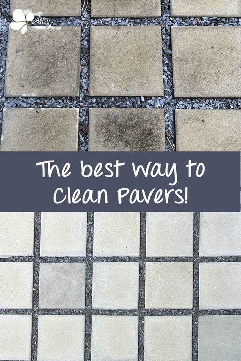 If you’re on the hunt for an effective way to clean your concrete pavers without a pressure washer, look no further! We’ve tested six methods and products and found the best way –without the need for expensive equipment. Read on to learn more about the best method for cleaning your moldy pavers. Staining Pavers Patio, How To Clean Pavers Patio, Painting Pavers Ideas, Painted Concrete Pavers, Staining Pavers, Painting Pavers, Cleaning Pavers, Clean Black Mold, Cement Pavers