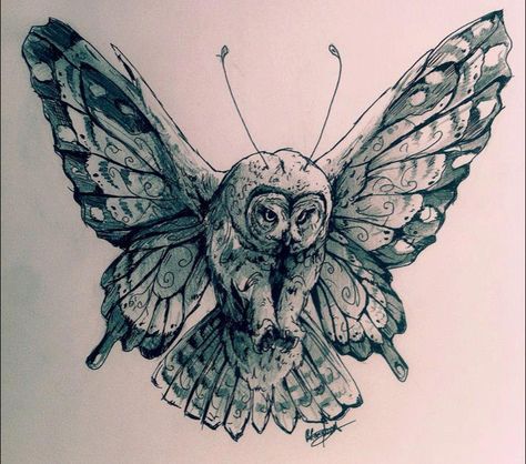 Butterowls? Owlerflies? - Imgur Butterfly And Owl Tattoo, Owl Witch Tattoo, Galaxy Owl Tattoo, Gothic Owl Tattoo, Owl Eye Tattoo, Owl With Butterfly Tattoo, Eye Tattoo Meaning, Butterfly Legs, Butterfly Tattoo Meaning