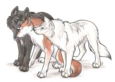 Wolf Deviantart, Wolf Pics, Wolf Poses, Pet Anime, Spirit Wolf, Anime Wolf Drawing, Wolf Sketch, Cartoon Wolf, Wolf Character